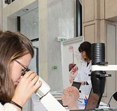 visuel d'une personne regardant dans l'oeil d'un microscope