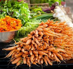 photos de légumes carottes salades oignons nouveaux 
